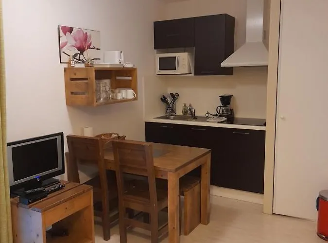 Les Terrasses Du Lejlighed Aureilhan (Landes)